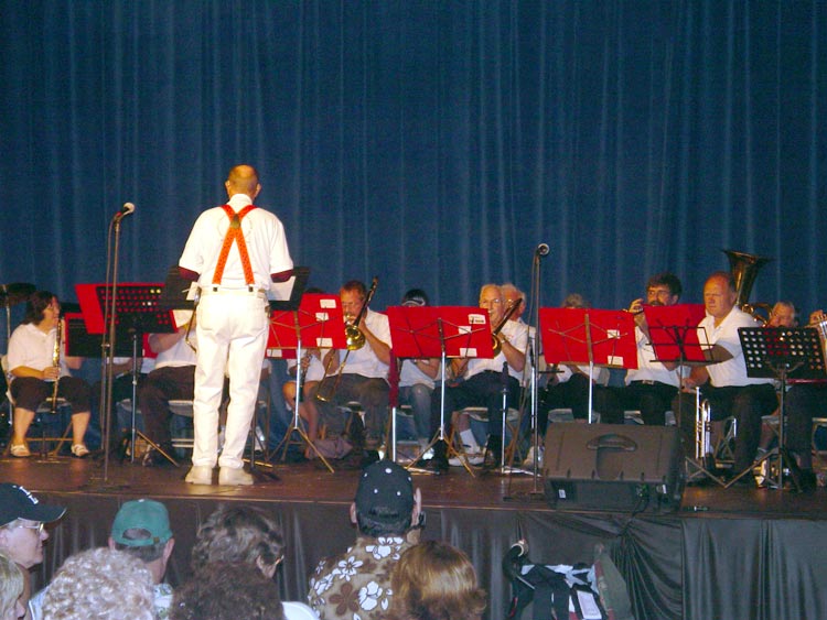 The Show Band