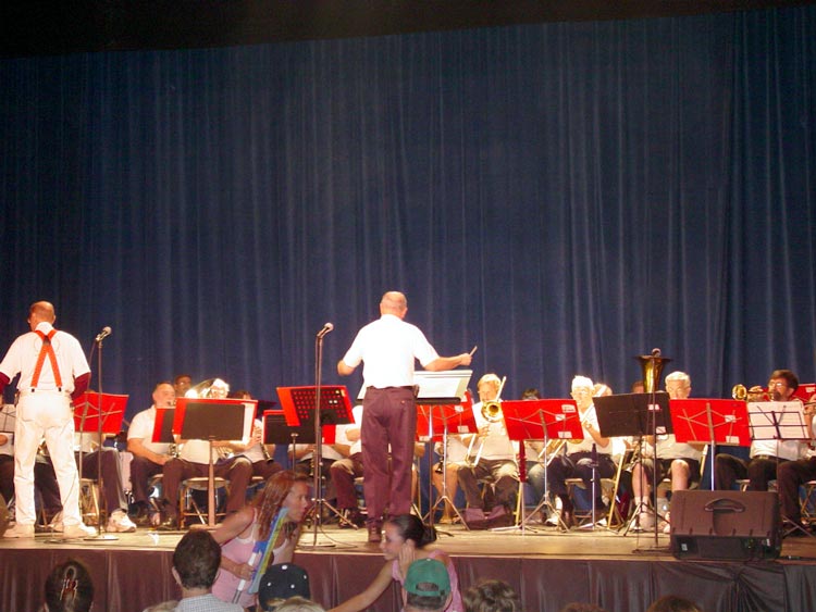 The Show Band