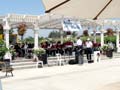 The Show Band