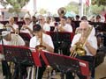 The Show Band