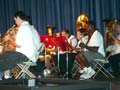 The Show Band