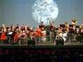 The Show Band