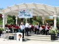 The Show Band