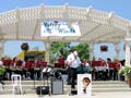 The Show Band
